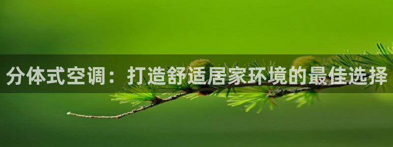 环球360分2009