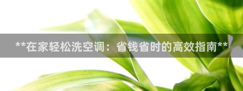 环球360手机版打开入口