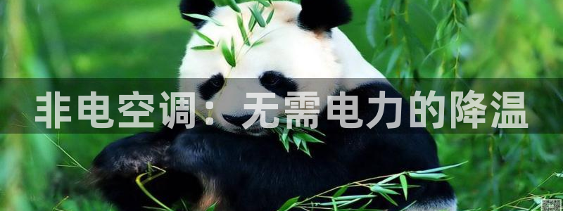 环球360网址是多少