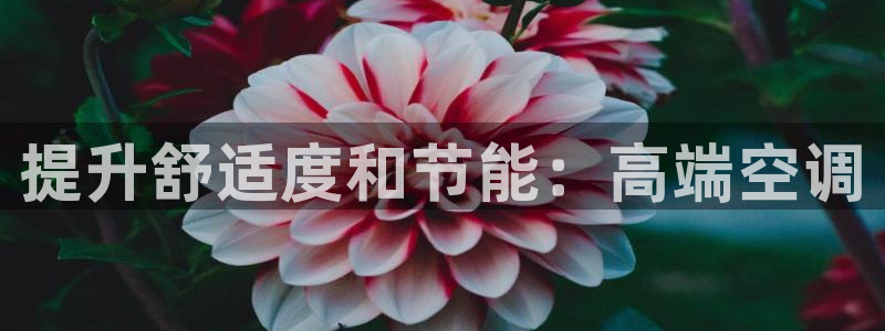 环球360手机版app