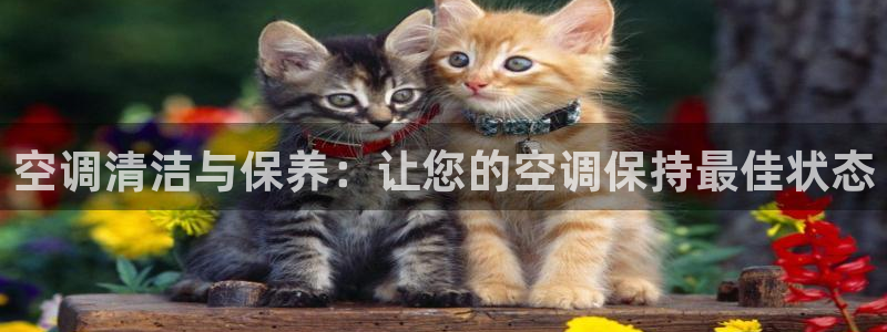 环球360下载