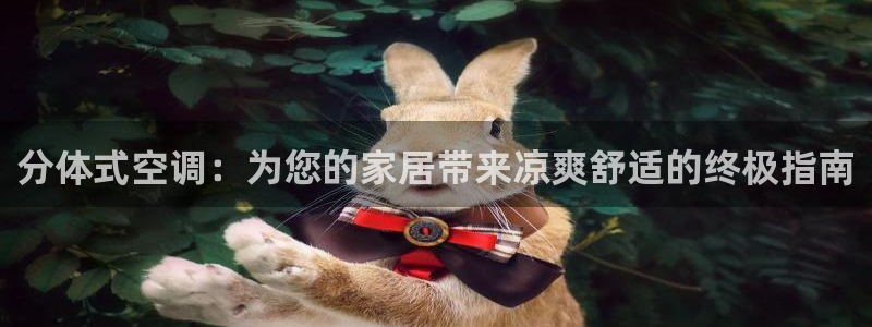 环球360官网会员登录不上