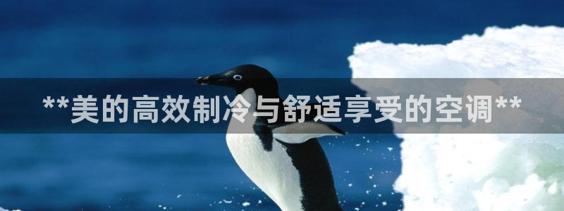 环球360正网注册