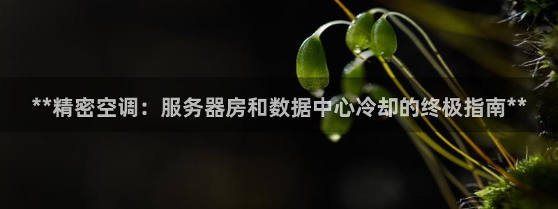 环球360官网手机版下载安装苹果