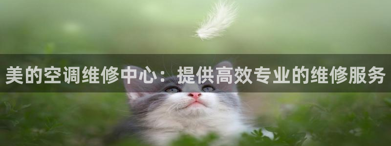 环球360手机版首页