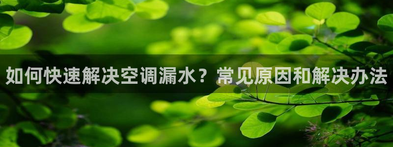 环球360官网入口下载
