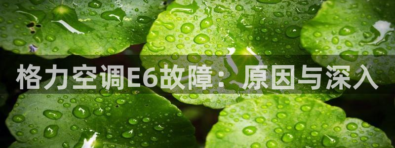 环球360会员