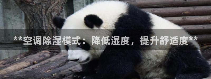 环球360手机版官方网站下载安装
