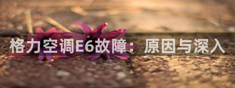 下载环球360菲律宾