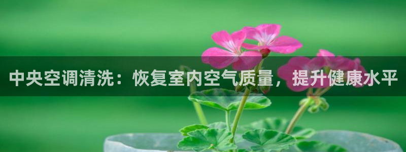 环球360手机版首页