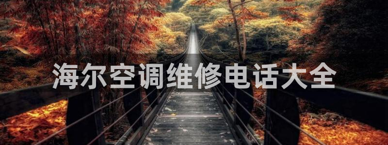 环球360飞机视频播放