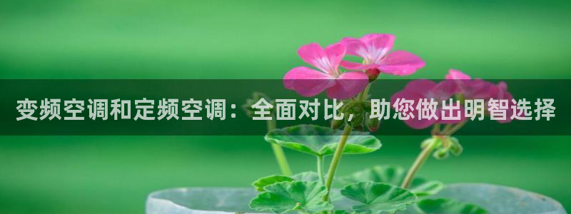 环球360试玩