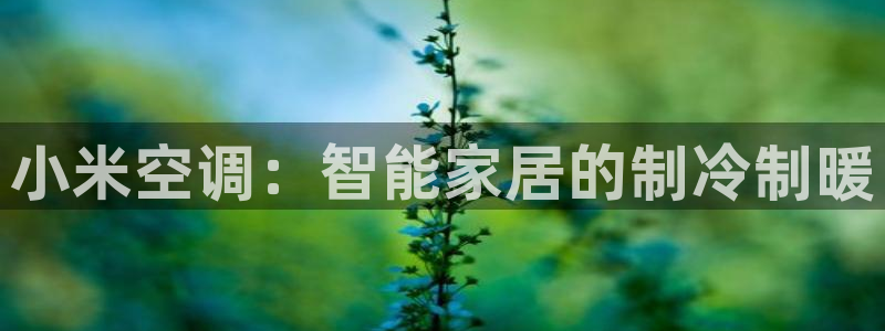 菲律宾环球360管理