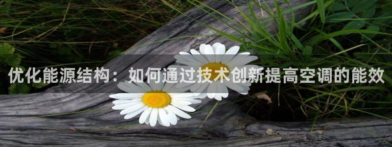 环球360网站试玩
