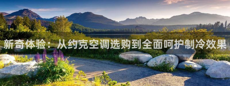环球360假线