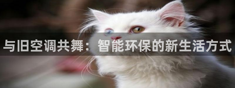 环球360最新官方登入网址
