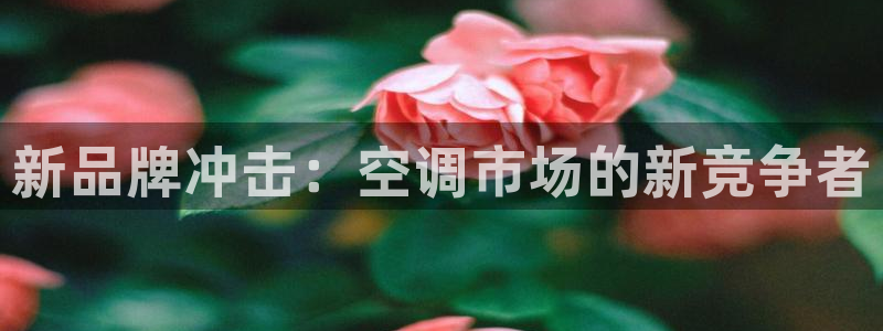环球360官方网站入口