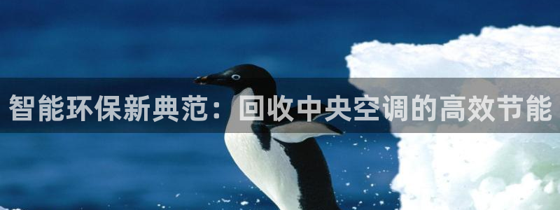 环球360官网手机版下载地址查询